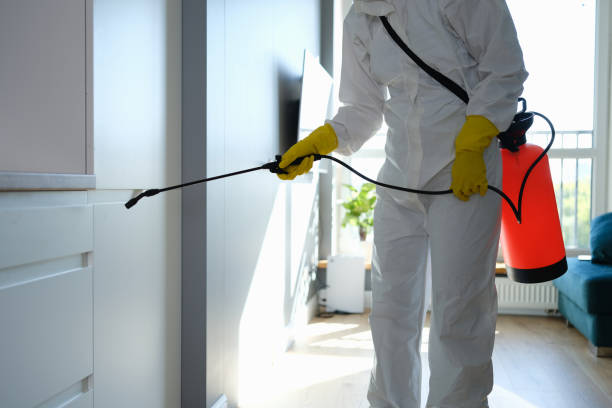 Professional Mold Removal in Soda Springs, ID